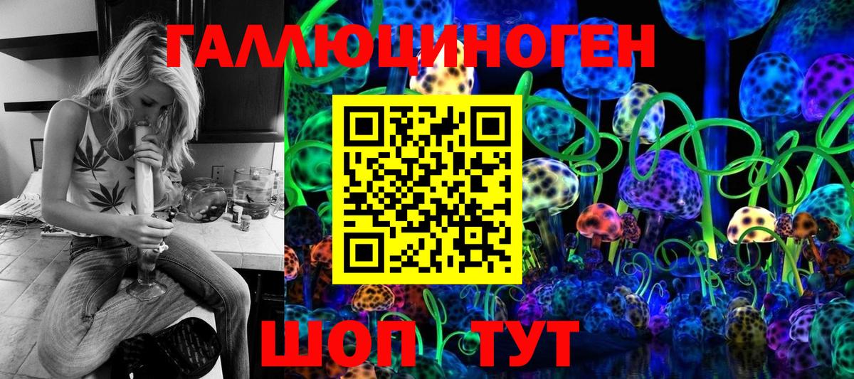 Псилоцибиновые грибы Psilocybine cubensis Урай